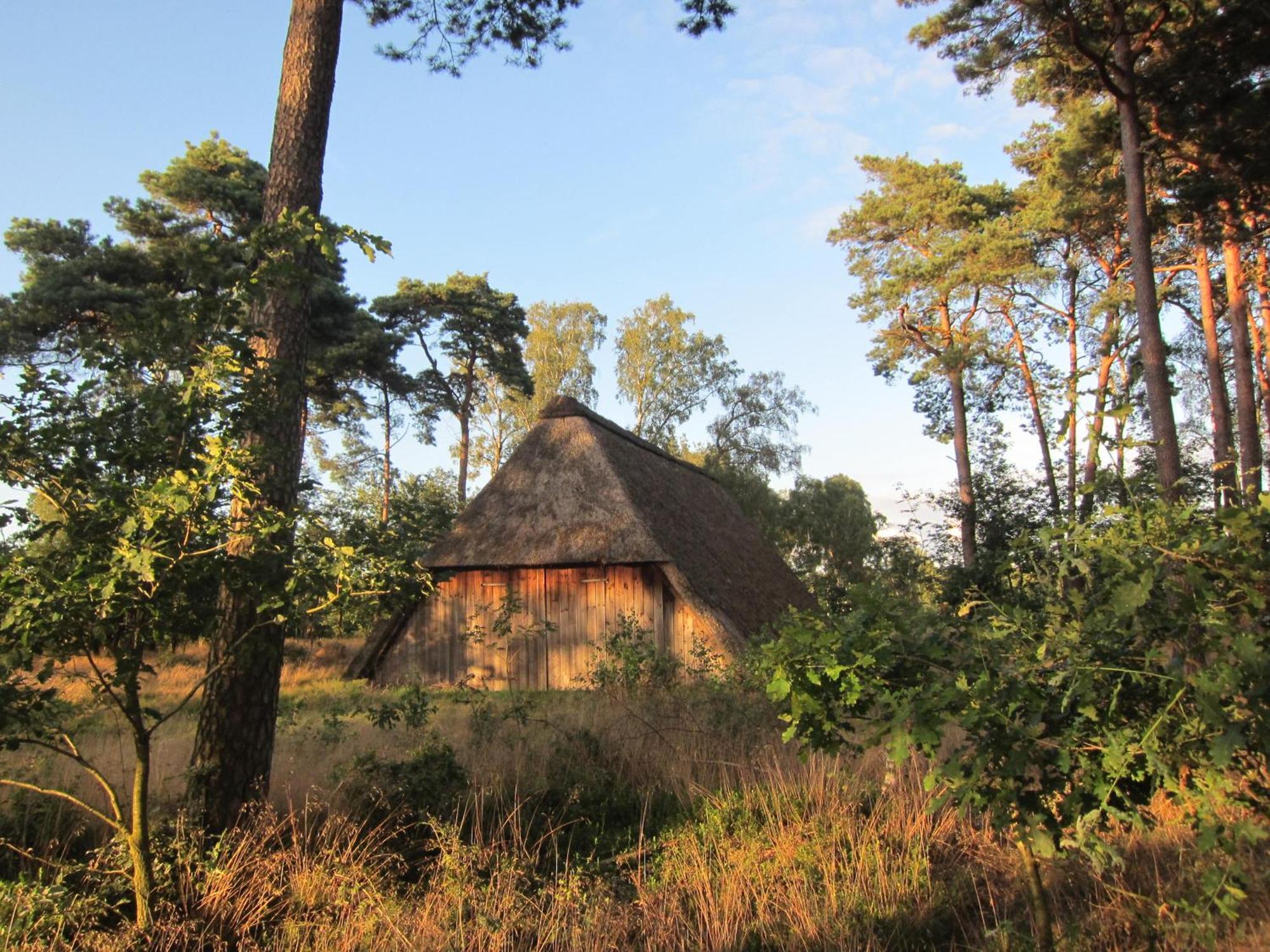 Bed and Breakfast Haus Heidetal Bispingen Zewnętrze zdjęcie