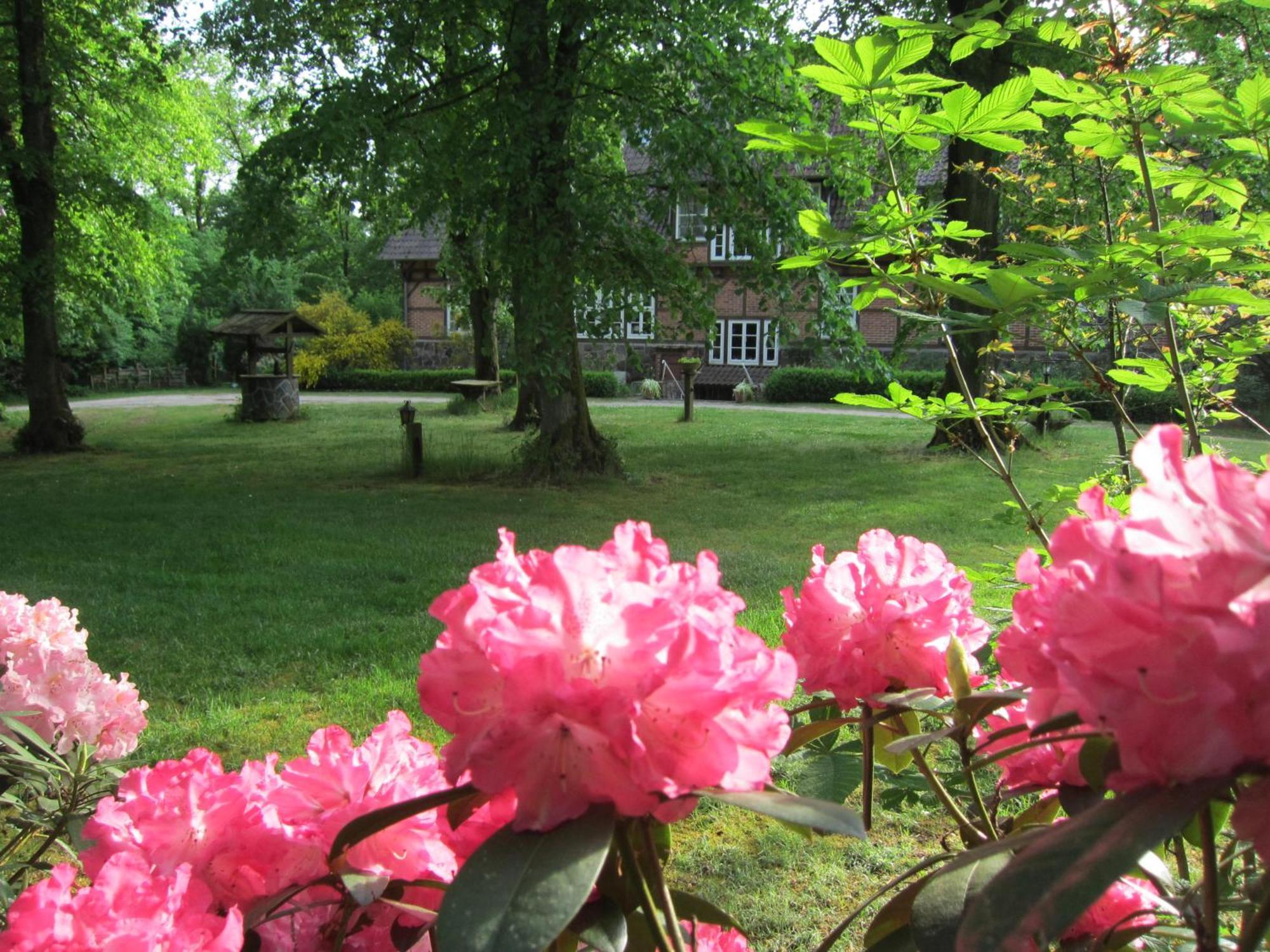 Bed and Breakfast Haus Heidetal Bispingen Zewnętrze zdjęcie