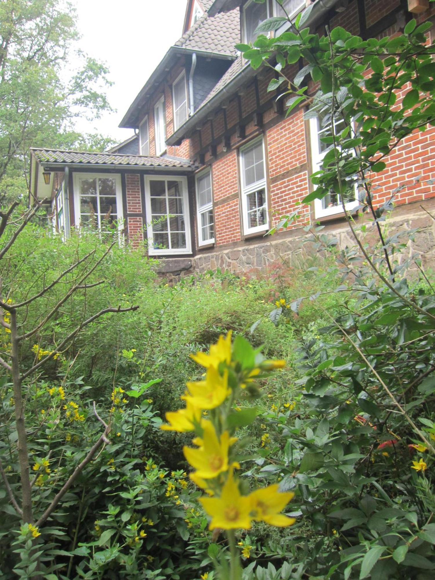 Bed and Breakfast Haus Heidetal Bispingen Zewnętrze zdjęcie