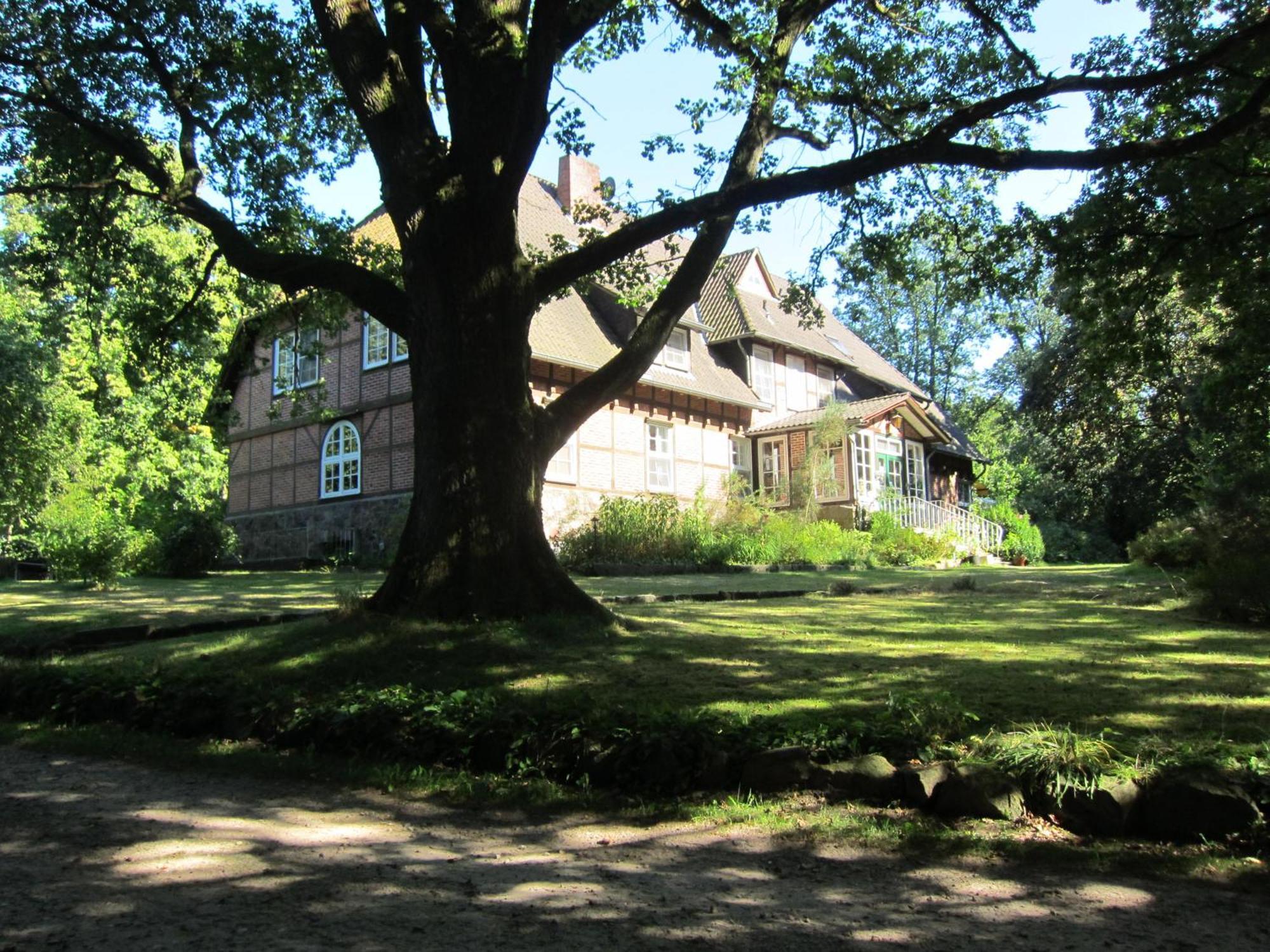 Bed and Breakfast Haus Heidetal Bispingen Zewnętrze zdjęcie