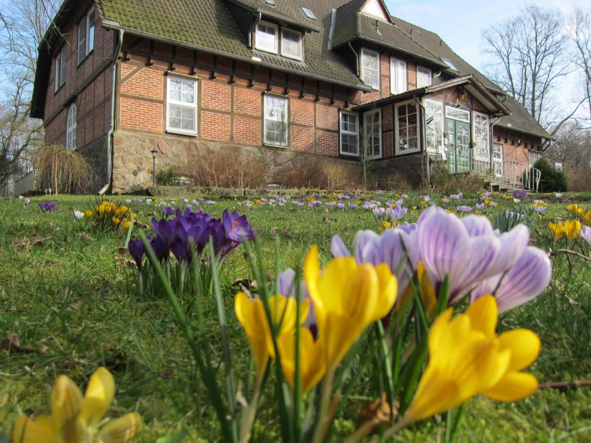 Bed and Breakfast Haus Heidetal Bispingen Zewnętrze zdjęcie